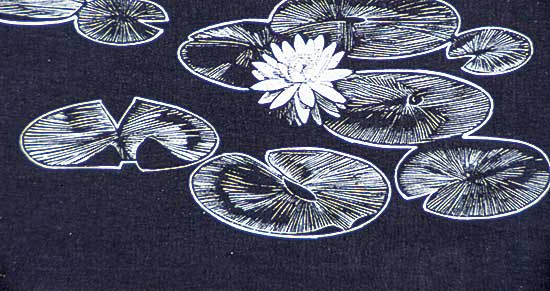 #265 ~ Phillips - Lily