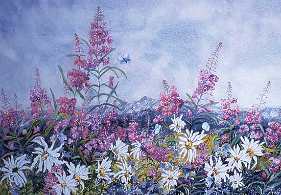 #281 ~ Rockley - Mountain Fireweed