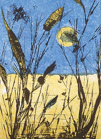 #324 ~ Stevenson - Harvest Moon