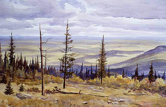 #337 ~ Turner - Skyline Trail, Porcupine Hills