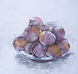 #78 ~ Ford - Plums  #6/20