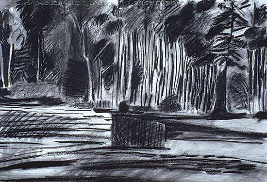 #10 ~ Ballachey - Untitled - Reflection