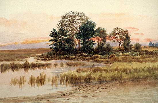 #211 ~ Martin - Evening Near Couchiching