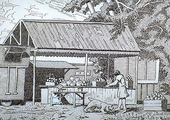 #229 ~ Nicoll - Bowness Market