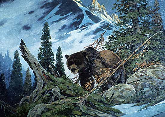 #253 ~ Plangg - North of Jasper - Right of Way [Grizzly]