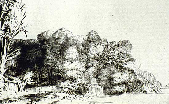 #274 ~ Rembrandt - Clump of Trees with a Vista