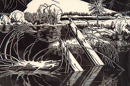 #298 ~ Shelton - Vermillion Lakes, Tunnel Mountain  #16/50