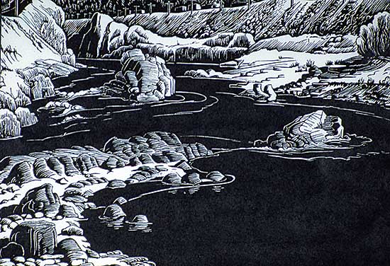 #300 ~ Shelton - Thomson River  #22/50