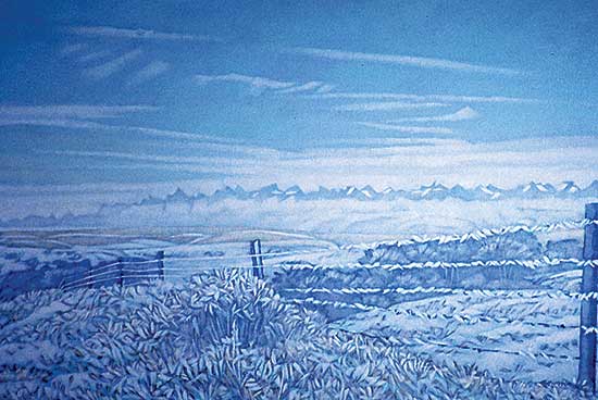 #307 ~ Sinclair - Morning Frost