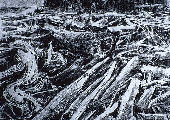 #308 ~ Smith - Untitled - Beach Logs