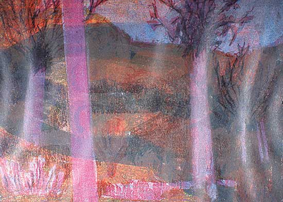 #312 ~ Snow - Landscape, Red Trees  #12/14