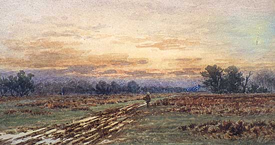 #331 ~ Verner - A Muddy Road