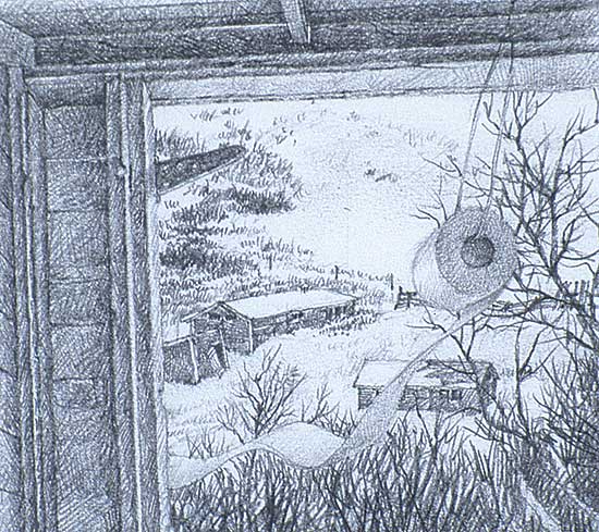 #417 ~ Cox - The Outpost