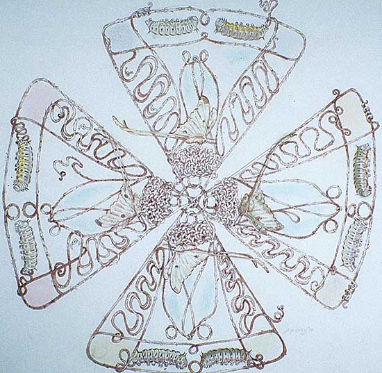 #428 ~ Godwin - Butterfly's Victory