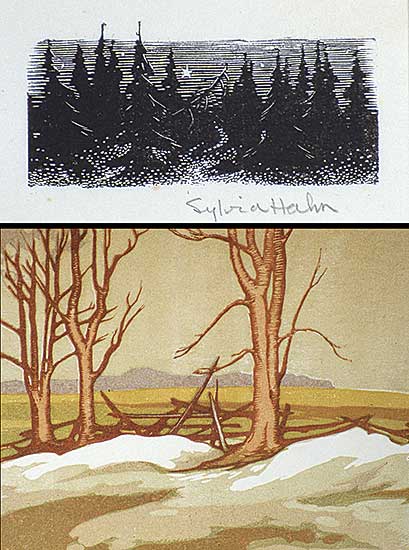 #431 ~ Hahn - Melting Drifts