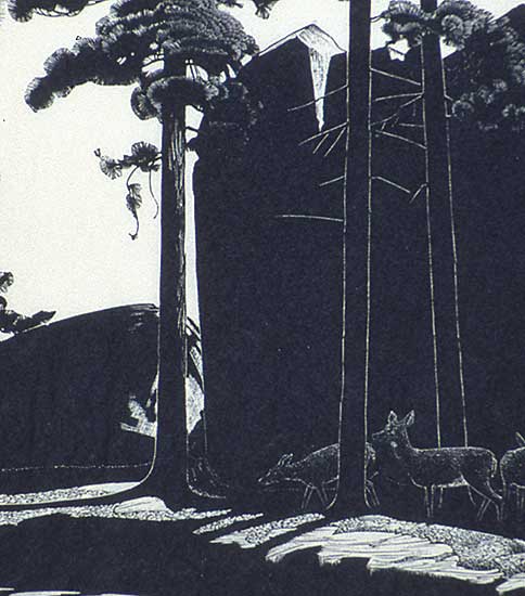 #512 ~ Phillips - Hanging Rock Island, Lake of The Woods