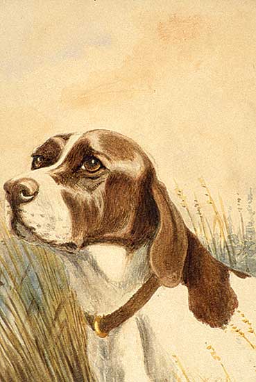 #589 ~ Young - Hound on the Hunt