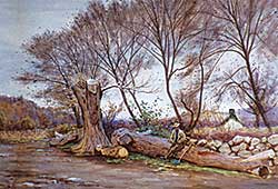 #338 ~ Wimperis - Fallen Timber