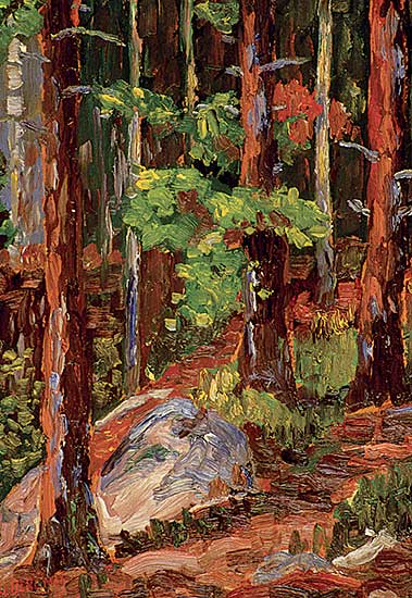 #10 ~ Bergman - Sunlight and Shadows