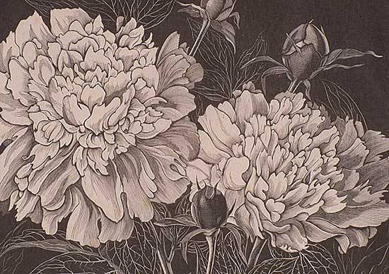 #11 ~ Bergman - Peonies  #4/60
