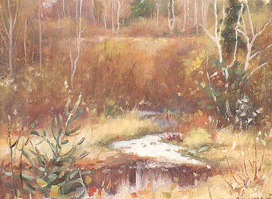 #22 ~ Bourgeois - Charlevoix Stream