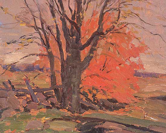 #30 ~ Brooks - Old Tree