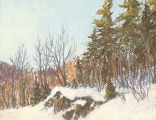 #44 ~ Champagne - Sunset Glow on Top of the Pines, Gatineau Park, Quebec