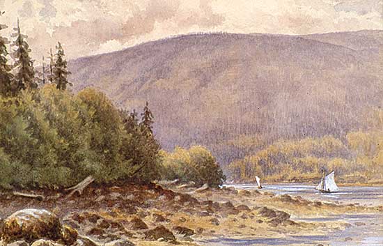 #64 ~ Ferris - Untitled - British Columbia Coastal View