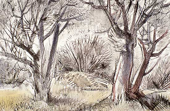 #76 ~ Glyde - Trees