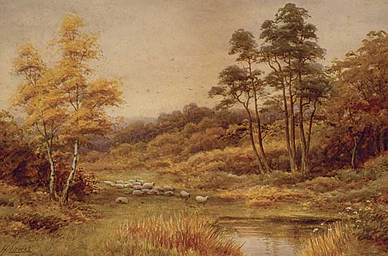 #138 ~ Lawes - Near Brockenhurst Haunts