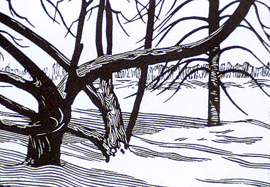 #252 ~ Lindner - Untitled - Trees in Winter  #35/100