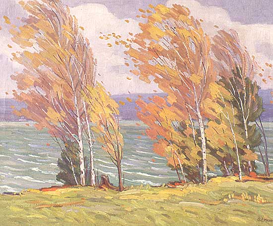 #304 ~ Madden - At Mindemoya Lake, Manitoulin Island