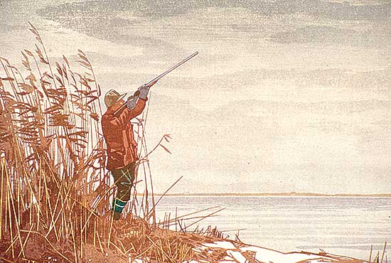 #364 ~ Phillips - The Duck Hunter  #2/100