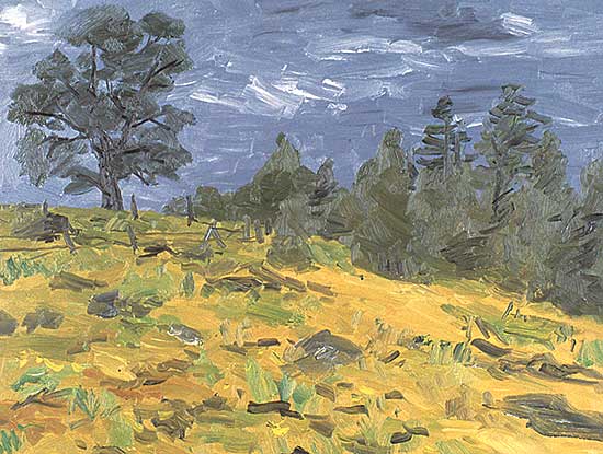 #382 ~ Roberts - Field and Tree, Grey Sky