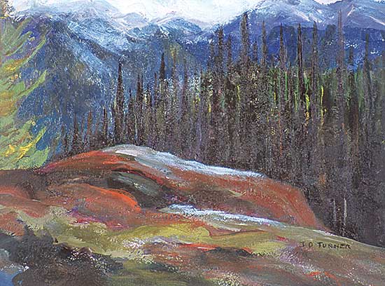 #416 ~ Turner - Kananaskis