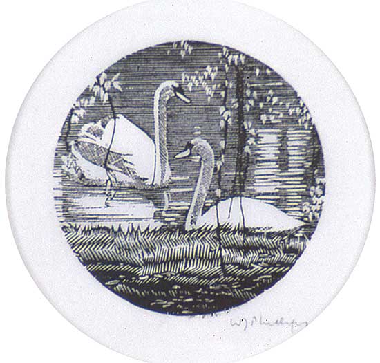 #515 ~ Phillips - Swans
