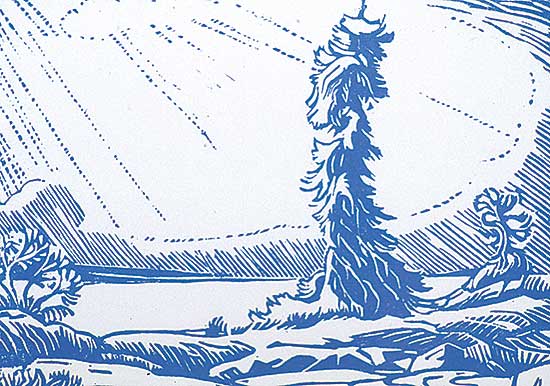 #542 ~ Shelton - Great Slave Lake