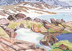 #317 ~ McCarthy - Puddle in the Rocks, Cape Dorset