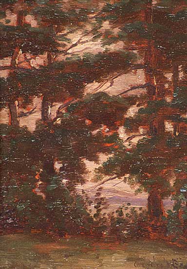 #27 ~ Browne - Pines