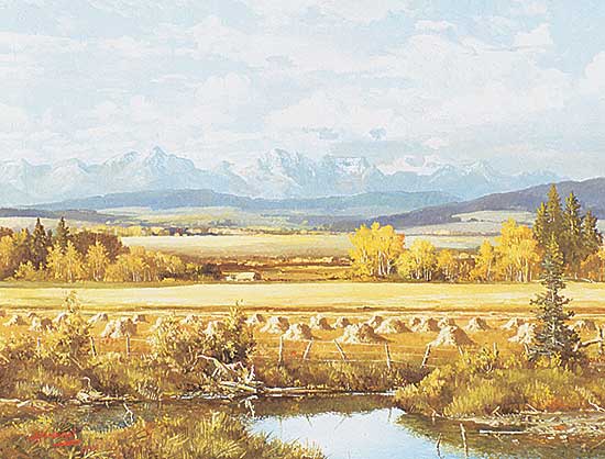 #44 ~ Crockford - As Far As the Eye Can See - The Little Town of Kingman, Looking East, Alberta