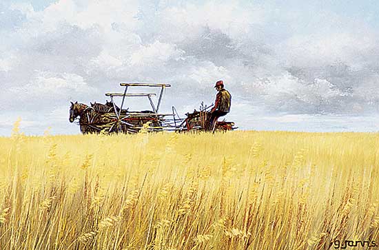 #107 ~ Jarvis - Harvest