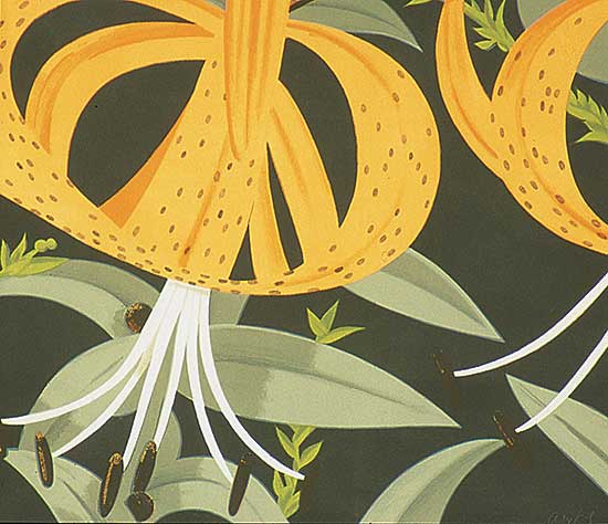#117 ~ Katz - Superb Lilies  #61/90