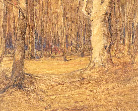 #128 ~ Kidd - Untitled - Forest Interior