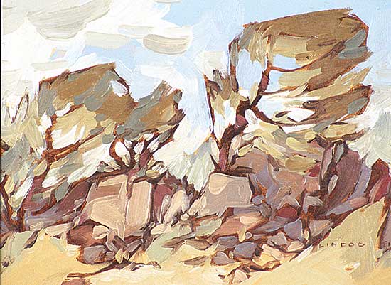 #150 ~ Lindoe - Sketch - Tree Study