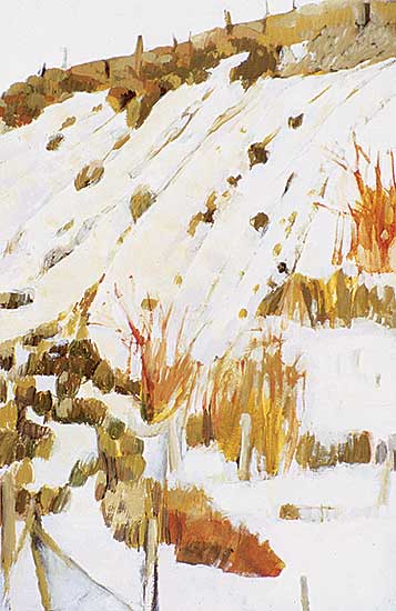 #249 ~ Devlin - Untitled - B.C. Hillside