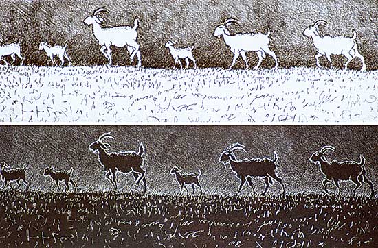 #257 ~ Fafard - Isaac's Goats  #5/20