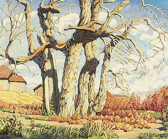 #367 ~ Shelton - Old Trees, Rosedale Alberta