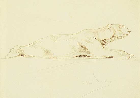#389 ~ Wardle - Untitled - Sketch of a Polar Bear
