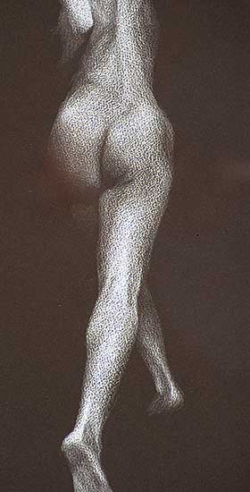 #533 ~ Pavelic - Ascente