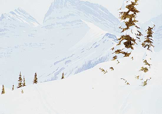 #542 ~ Raftery - Winter Pathway